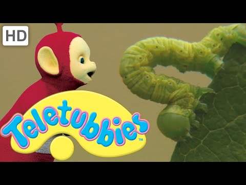 Teletubbies Caterpillars Full Episode