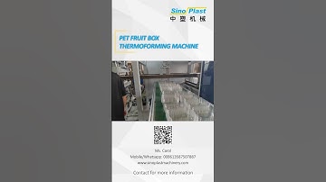 #sinoplastmachinery  PET Fruit Box Thermoforming Machine for Egypt