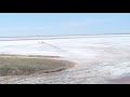 Озеро Алжан сор. Западно-Казахстанская область. Уникальное место для здоровья!