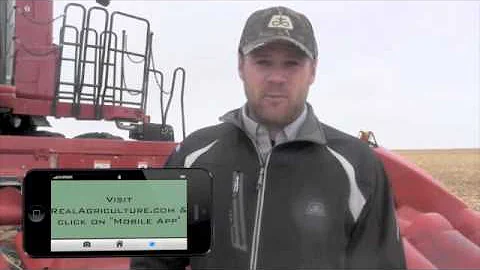 Working Out the Kinks of Corn in Northern Saskatch...