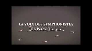 Video thumbnail of "LA VOIX DES SYMPHONISTES "Oh Petits Oiseaux""