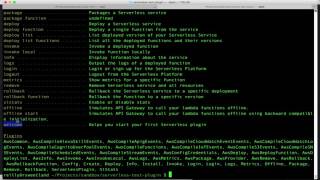 How To Make A Serverless Plugin In Under 2 Minutes