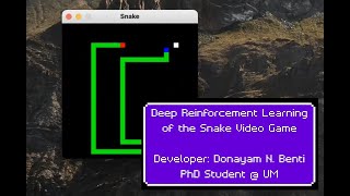 Deep Reinforcement Learning Applied to the Snake Video Game