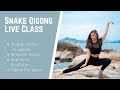 Snake Qigong Live Class | QigongLady