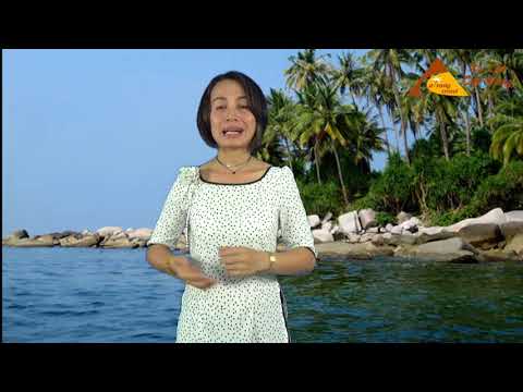 #1 Kinh Nghiệm du lịch Kiên Giang | Hòn Sơn có gì đặc biệt? | Du lịch Cát Vàng Mới Nhất 83 #1 Kinh Nghiệm du lịch Kiên Giang | Hòn Sơn có gì đặc biệt? | Du lịch Cát Vàng Mới Nhất