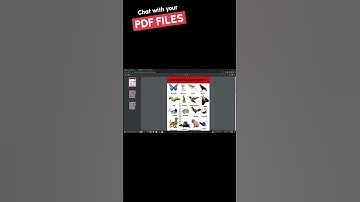 Chat with your PDF Files !📄