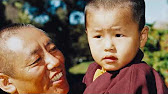 Kiwi-Tulku