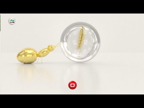 قناة السومرية Al Sumaria HD TV نايلسات 