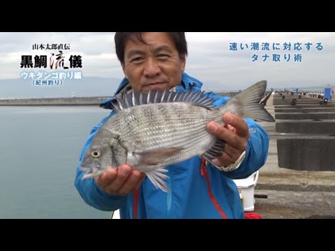 黒鯛流儀 ウキダンゴ釣り（紀州釣り）編 ［速い潮流に対応するタナ取り術］