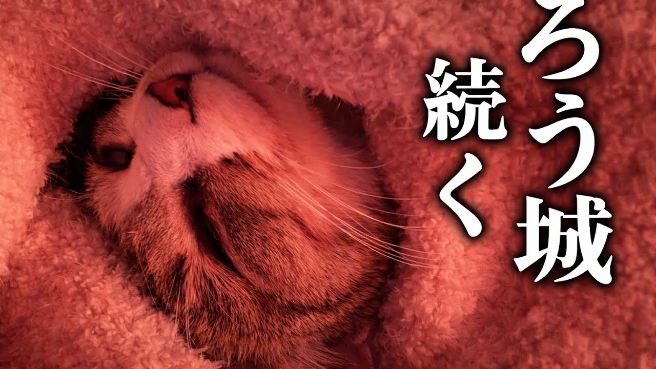 病院がよほど怖かったのだろうか