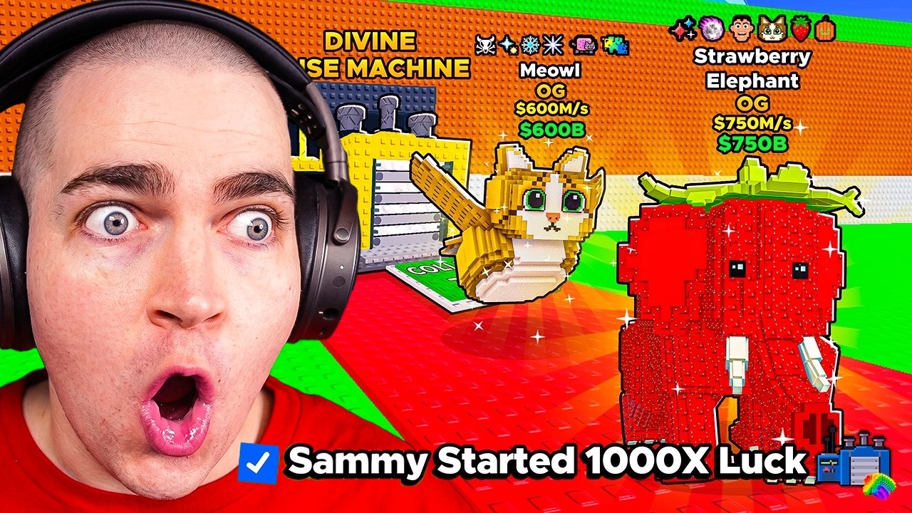 I Can’t Believe Sammy Did This..