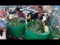 Looking for Coca Leaves in Peru’s Most Dangerous Market