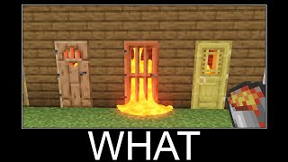 Minecraft wait what meme part 114 realistic lava vs doors #87