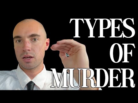 The Different Types of Murder in US Law w/ Examples (1st Degree, 2nd Degree, Manslaughter Etc)