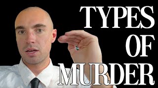 The Different Types of Murder in US Law w/ Examples (1st Degree, 2nd Degree, Manslaughter Etc)