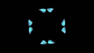 Butterfly Hologram Video HD (Screen Down)