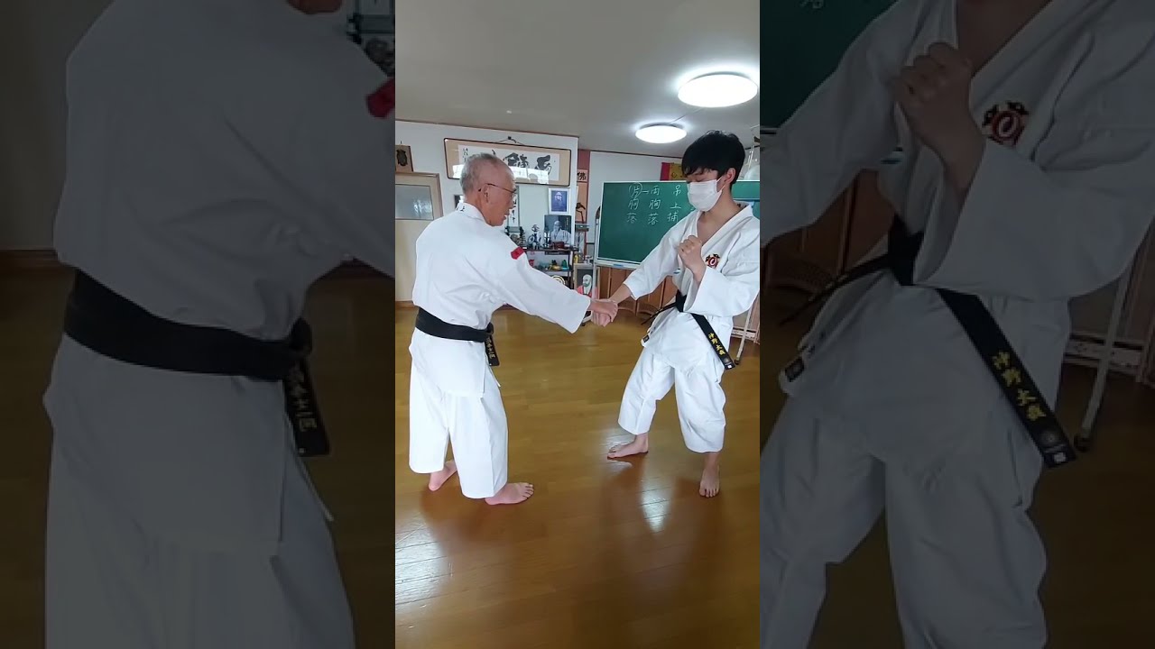 ②吊落、吊上捕の腕の捕り方 Tsuri Otoshi, Tsuriage Dori, How