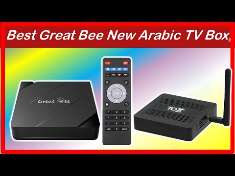 Best Great Bee New Arabic TV Box Top 5 2025 
