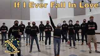 If I Ever Fall In Love - A Cappella Cover