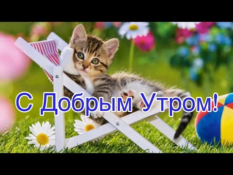Желаю Доброй Субботы! 🎉Красивая Музыкальная Открытка Пожелания! Красивая Музыка!