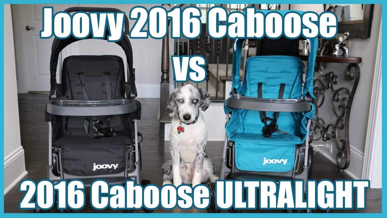 joovy caboose ultralight graphite