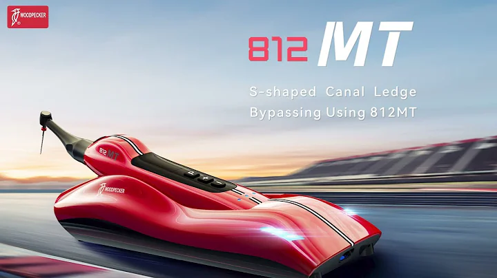 【Animation Demonstration】S-shaped Canal Ledge Bypassing Using 812MT