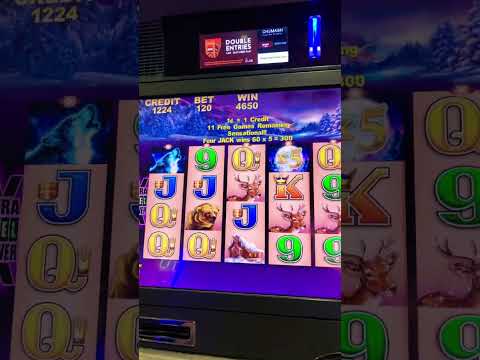 Golden Slots | Seminole Hard Rock Hotel & Casino in FL #seminolehardrock #dji #jesusgabad #luxnrelaxtravel #travel