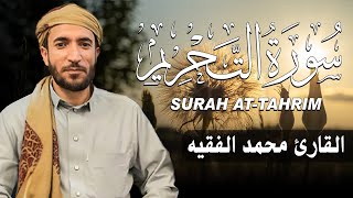 سورة التحريم كاملة (مكتوبة ) للقارئ الشيخ محمد الفقيه _ تلاوة خاشعة ومؤثرة😌💚