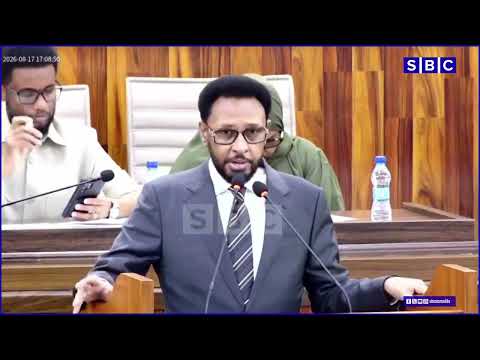 “Waxaa laga maarmi waayay hay’ad madax banaan oo u xil saaran dakhli ururinta”Biixi iimaan cigge.