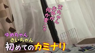 初めてのカミナリ 初めてのカミナリ