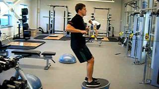 double cable row on bosu