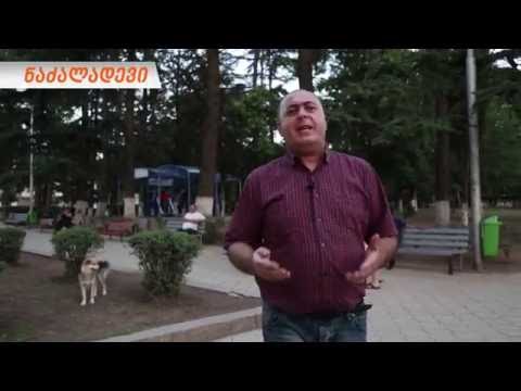 #NEWGEORGIA ნიკოლოზ გოგიშვილი მაჟორიტარი დეპუტატობის კანდიდატი