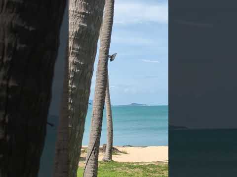 Coconut Beach Resort, Ko Samui, Thailand.