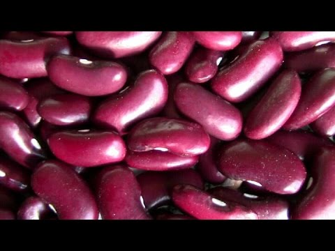 Video: Wie erntet man rote Bohnen? Video: Wie erntet man rote Bohnen?