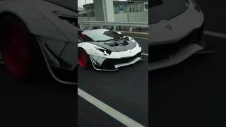 Lamborghini Lover Super Cars
