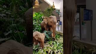 Most invasive plant use to design this elephant ? decode