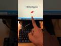 Hot Pepper Shortcut Key #shorts #computer #msword #shortcutkeys
