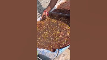 This video explains the concept of multilayer farming and its benefits