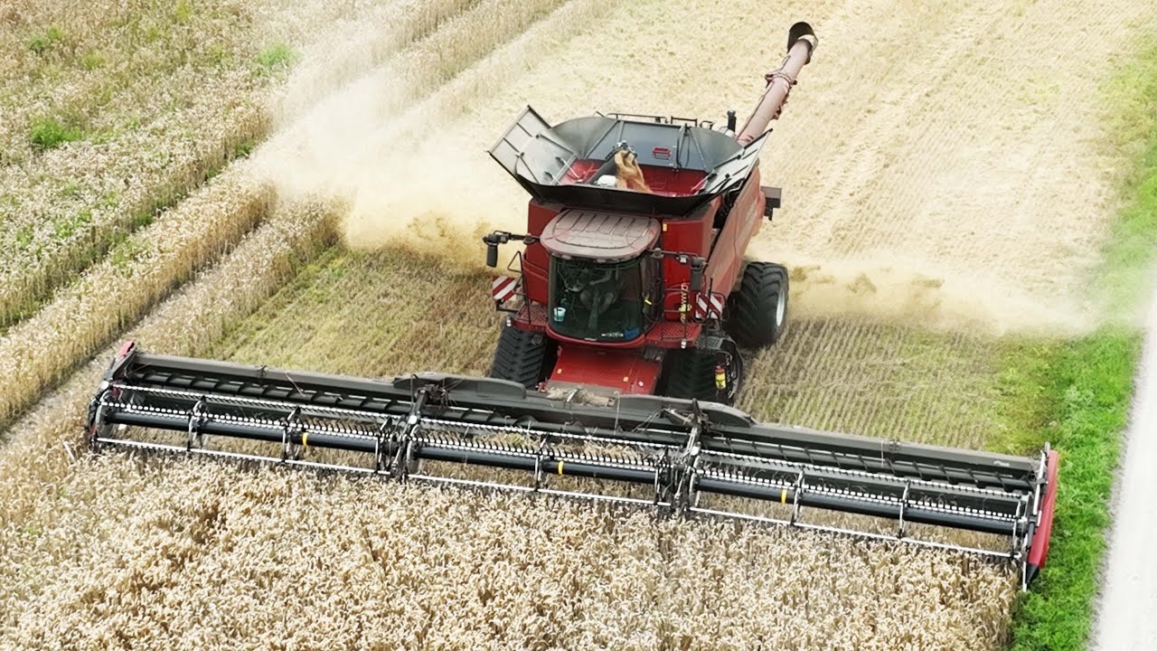 Case IH 9260 Axial-Flow with 50ft. wide MacDon FD250 Header cutting Wheat | Big Harvest