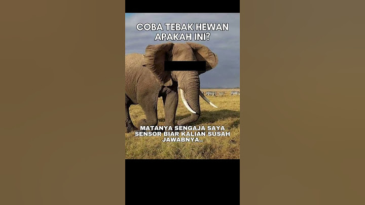 Gak bakal bisa jawab kalian, hewan apa ini -awokwok #memes #meme #funny #fun #laugh #lol #like