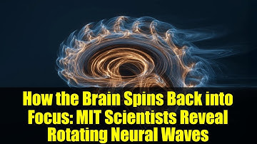 How the Brain Spins Back into Focus: MIT Scientists Reveal Rotating Neural Waves
