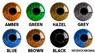 Every Hidden Advantage of Each Eye Color Explained in 8 minutes