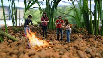 Avans CMD Freespace 2012/2013: Mushroom paradise