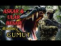 Kisah askar ramd  ular besar di hutan gumut