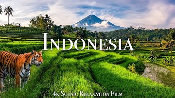 Indonesia 4K - Scenic Relaxation Film With Calming Music
