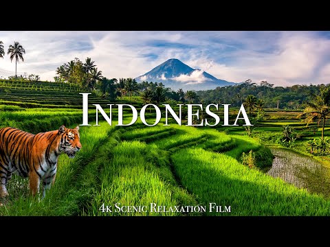 Indonesia 4K - Scenic Relaxation Film With Calming Music