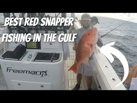 POV As A Deckhand On An Offshore Fishing Charter Boat