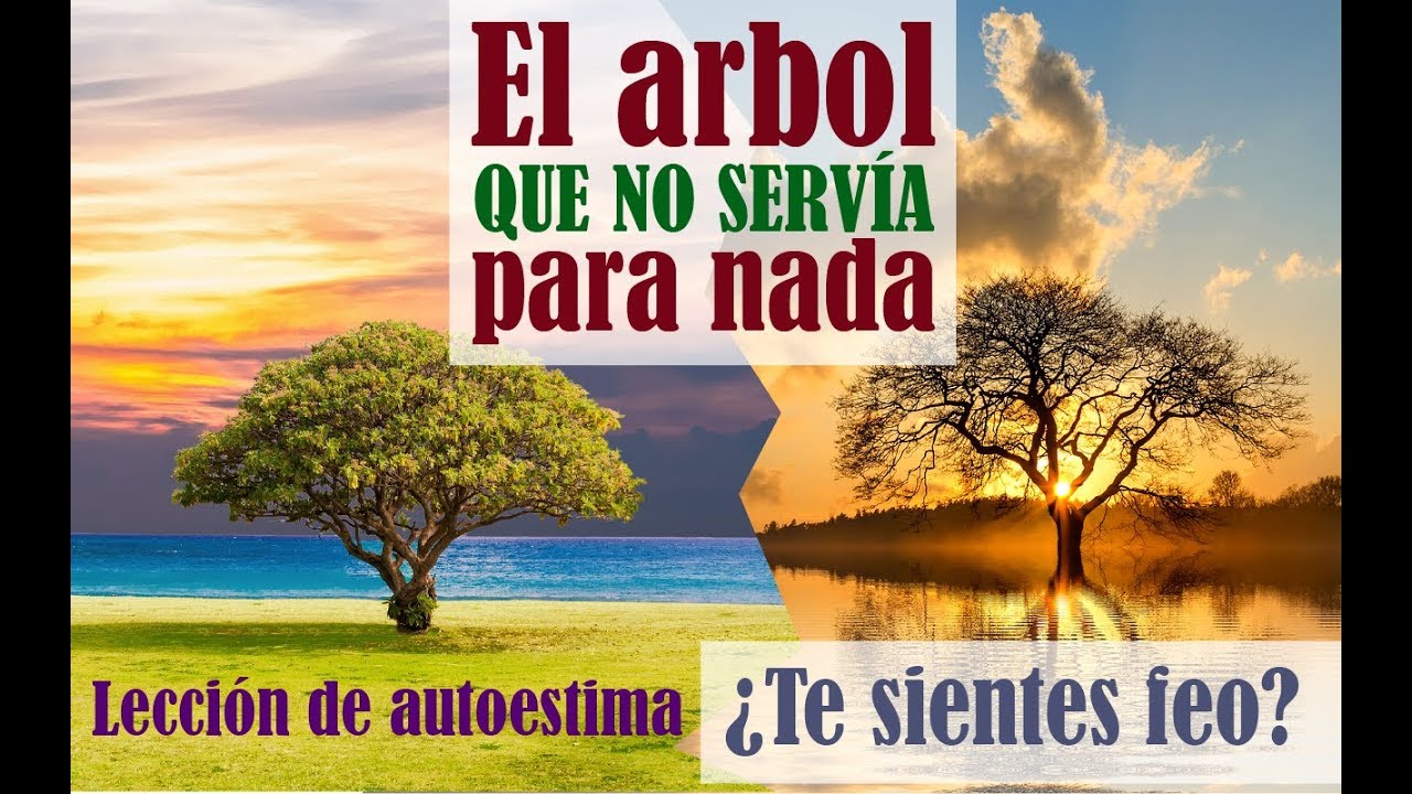 REFLEXIONES DE LA VIDA EL ARBOL QUE NO SERVIA PARA NADA REFLEXION