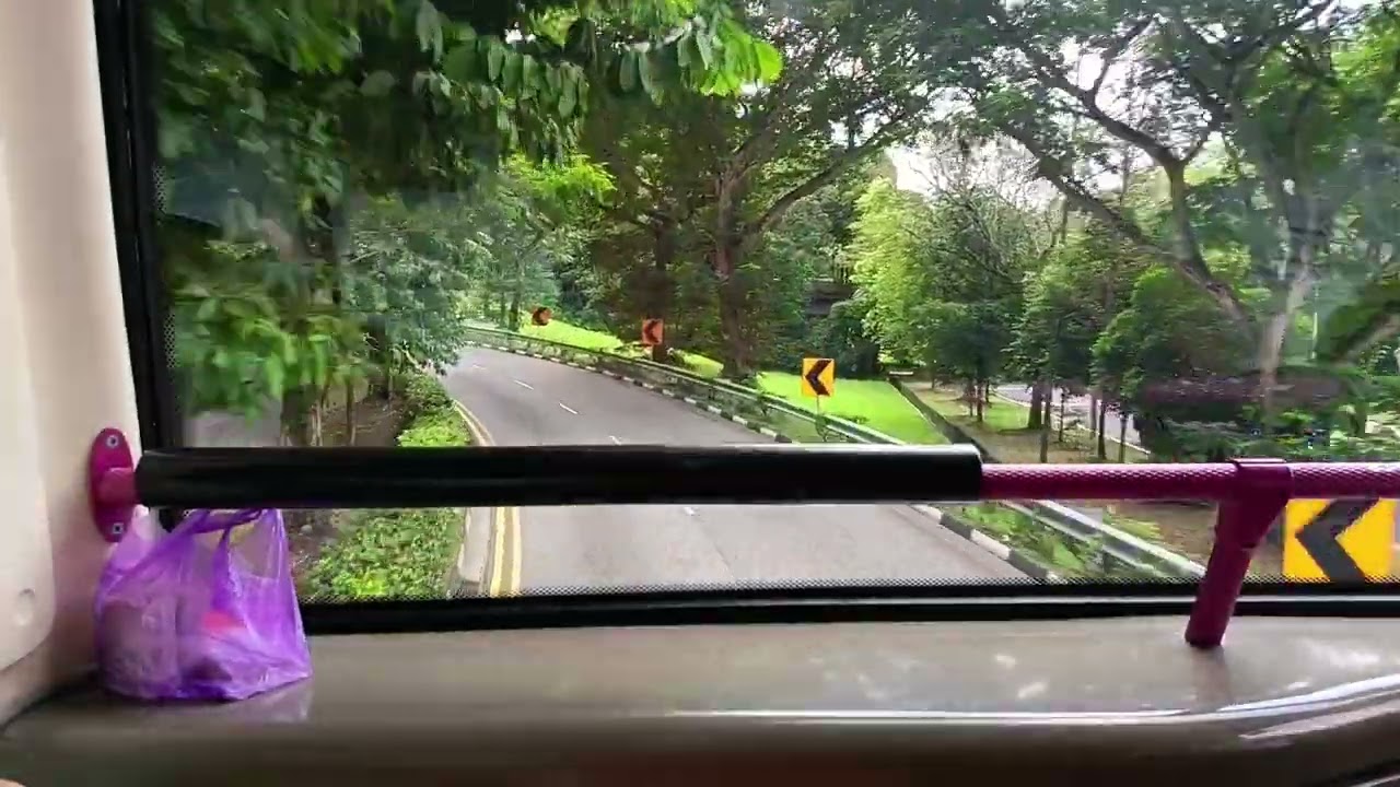 SBS transit service 161 on  SBS3161A