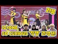 IZ*ONE (아이즈원) - 'SO CURIOUS' 무대 직캠 리액션 리뷰영상!! (춤추는곰돌:AF STARZ)